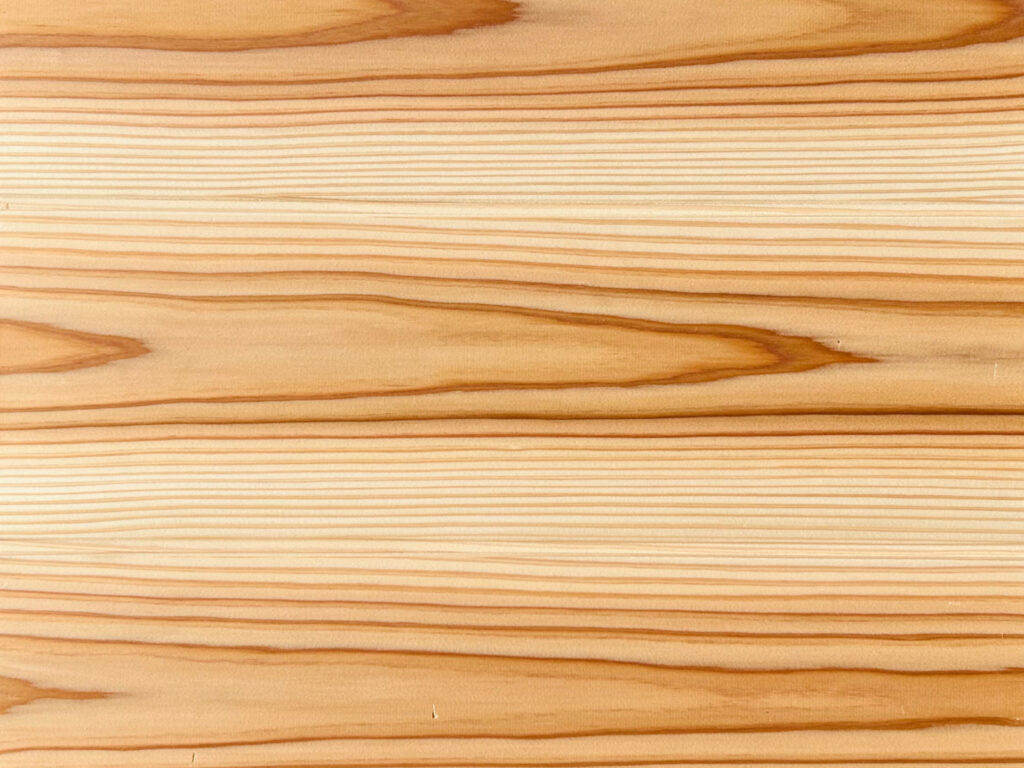 スギ（杉）